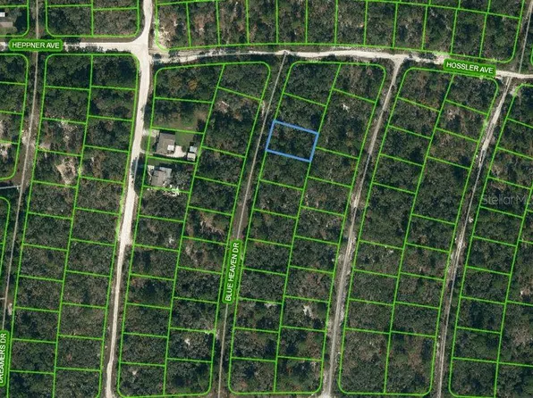 331 Blue Heaven Dr #3, Lake Placid, FL 33852