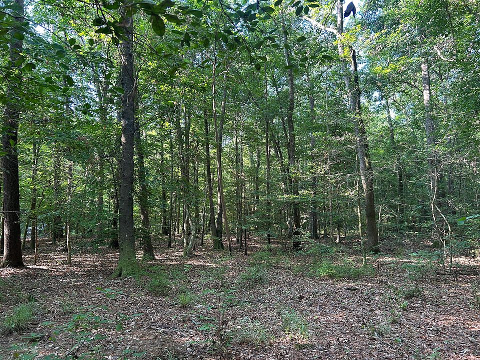 1st image of 0 Swamp Fox Dr