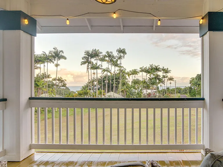 Window View