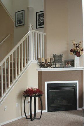 Fireplace / Living Room