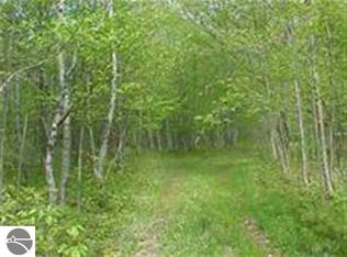 Weldon Rd, Beulah, MI 49617