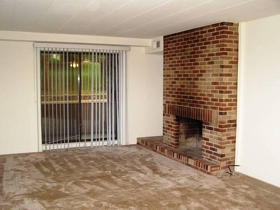 Wood Burning Fireplace