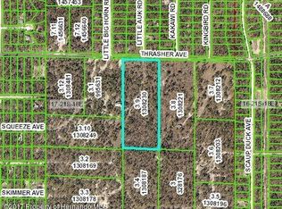 13349 Thrasher Ave, Weeki Wachee, FL 34614