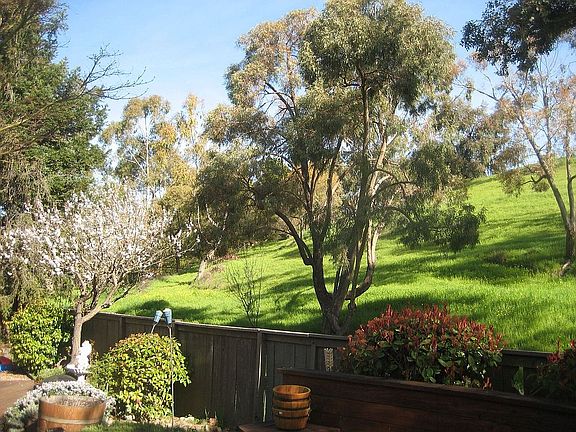 Spring Time in Backyard