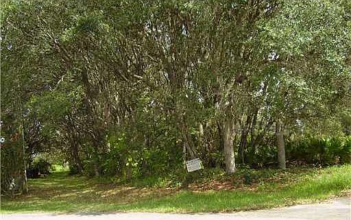 1st image of 410 Anise Pl