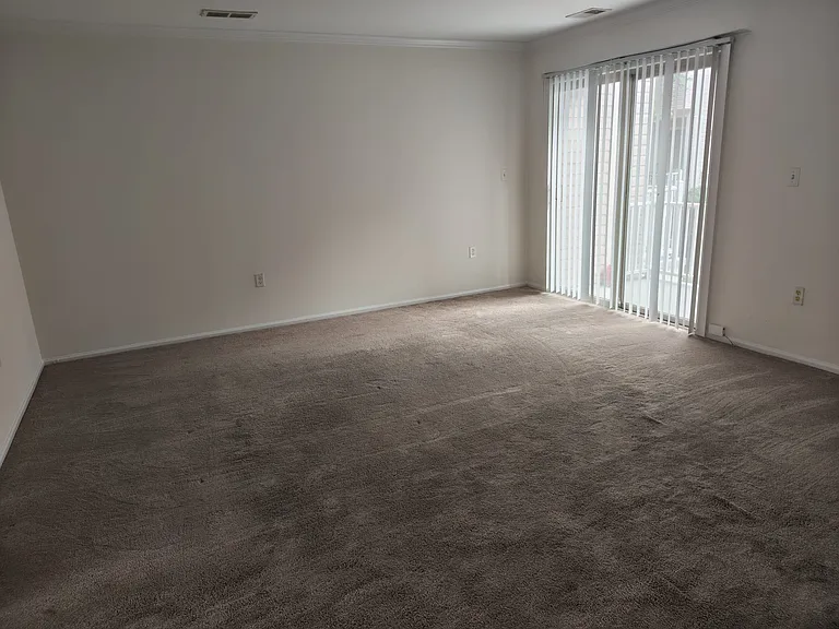 468 Great Beds Ct #468 — Photo 21