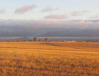 6th St, Newell, SD, 57760