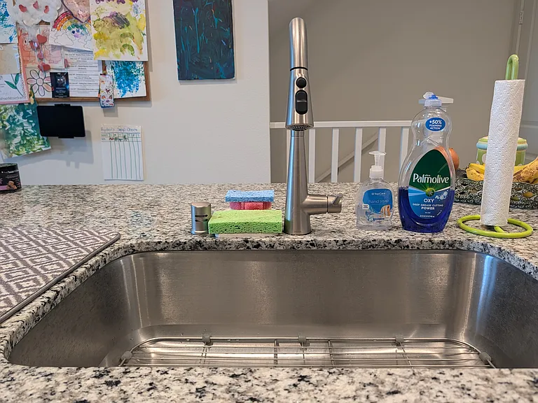Beautiful upgraded kitchen sink