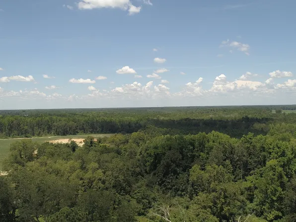 223 Cllyde Williams Rd, Reidsville, GA 30453