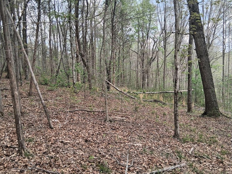 2nd image of 0 W Garretts Creek Rd
