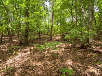 285 Bear Creek Dr LOT 3520, Jasper, GA, 30143