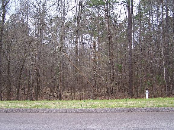 3rd image of 310 Peter Carnes Dr