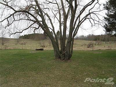 back yard/weeping willow tree. Adjacent vacant land beyond fence