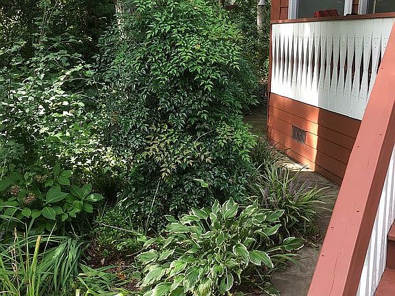 Flagstone Walk Around Cabin