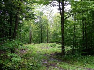 LOT 3 Penfield Rd LOT 3, Camden, NY 13316