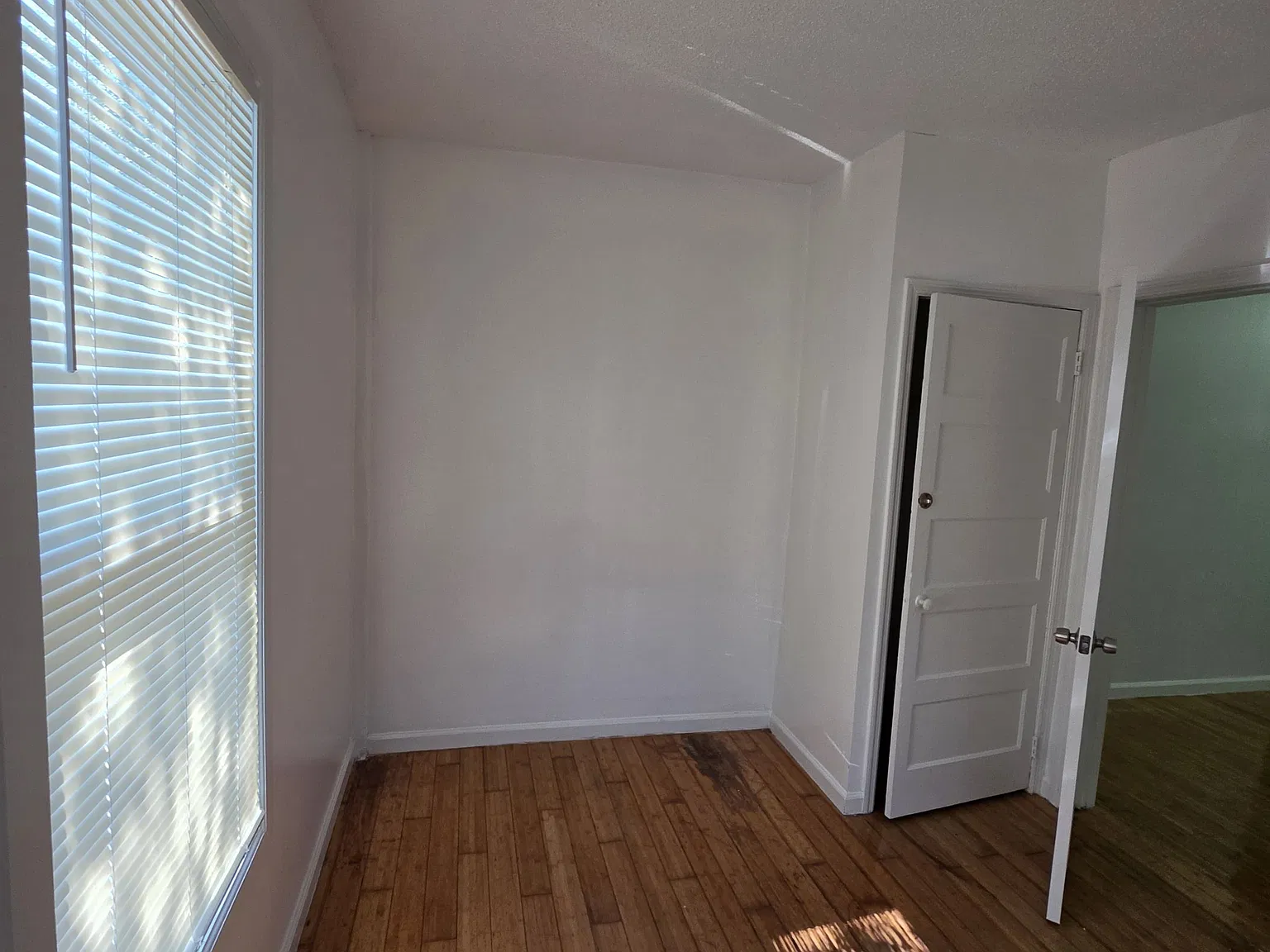1 bed, $1,200 — Photo 3