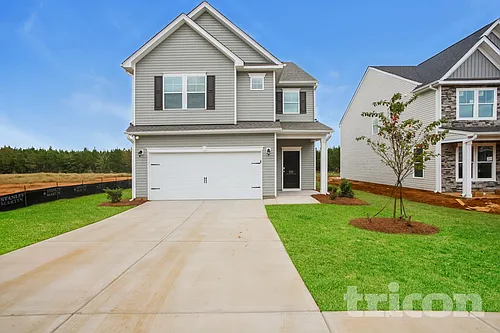 222 Savannah Wood Rd Photo 1