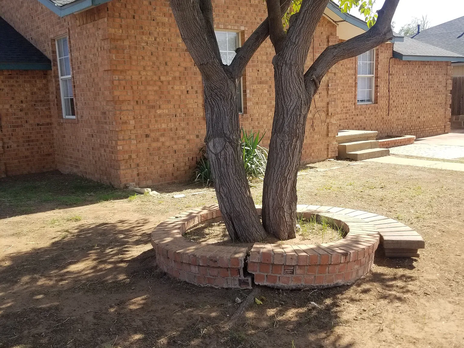 2 bed, 1.0 bath, 1165 sqft, $1,750 — Photo 4