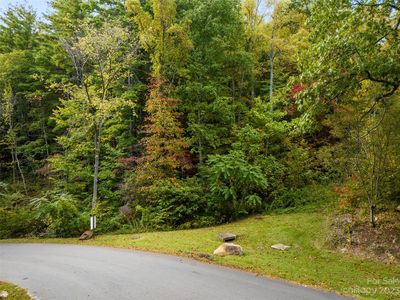 1 Versant Dr, Asheville, NC, 28804