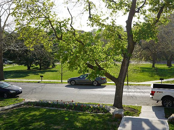 View of the park