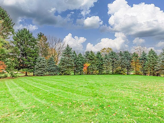 Treeline