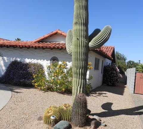 2nd image of 10919 W El Capitan Cir