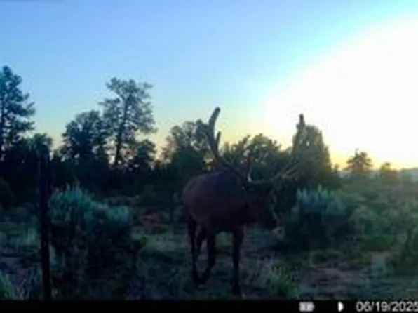 Nsn Forest Rd #131C, Los Ojos, NM 87551