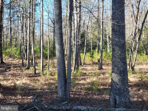 38280 Chaptico Rd, Mechanicsville, MD 20659
