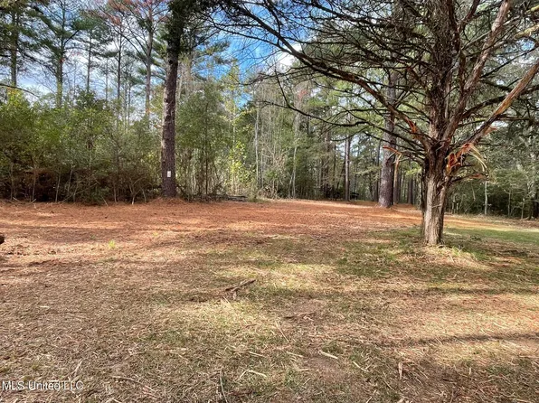Lone Pine Rd, Canton, MS 39046