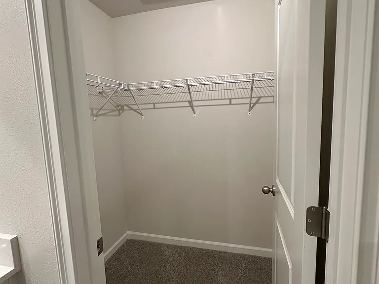 Primary Bedroom Walk-In Closet (inside Bathroom)