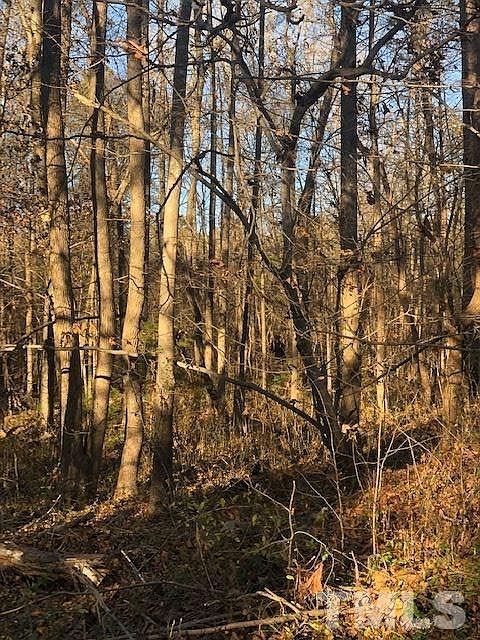 2nd image of Old Pleasant Dr Lot 25