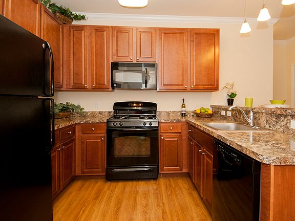 Sleek Black Appliances