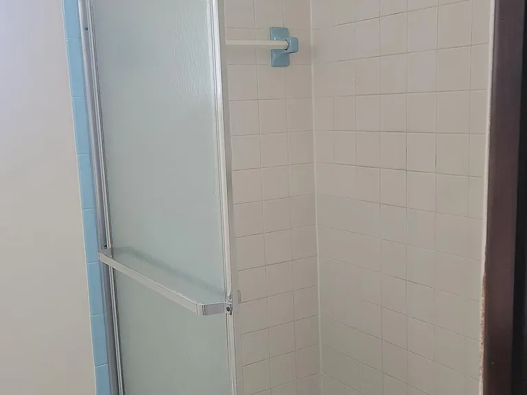 Shower guest bedroom