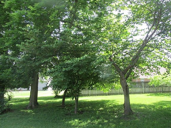 5th image of 1495 Willow Bend Ct