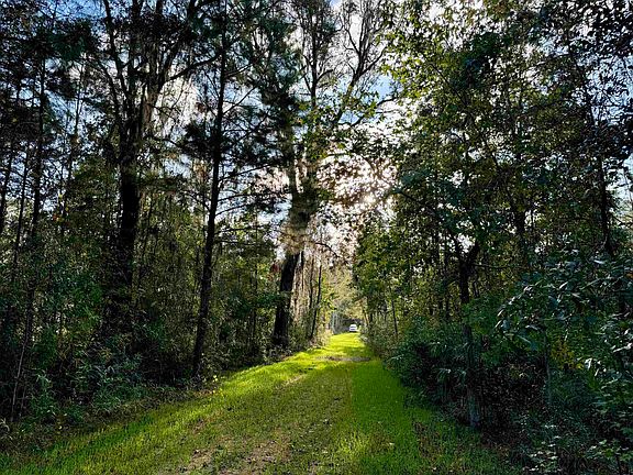 4th image of 2909 Shellman Bluff Rd N