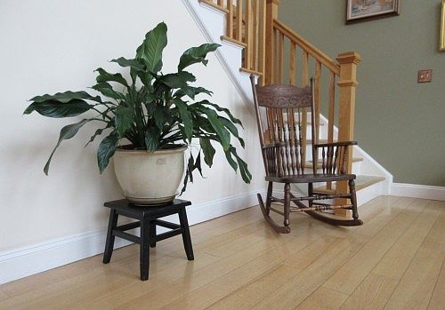 5th image of 44 Wildwood Way