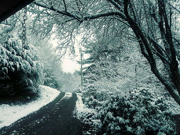 Yes, it snows! Normally one or two heavier snowfalls. Other snowfalls are just pretty enough to watch and then melt on the same day. If there is heavy snow, the HOA supplies snowplow service on our private roads.