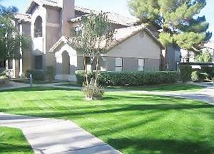 5th image of 9600 N 96th St APT 268