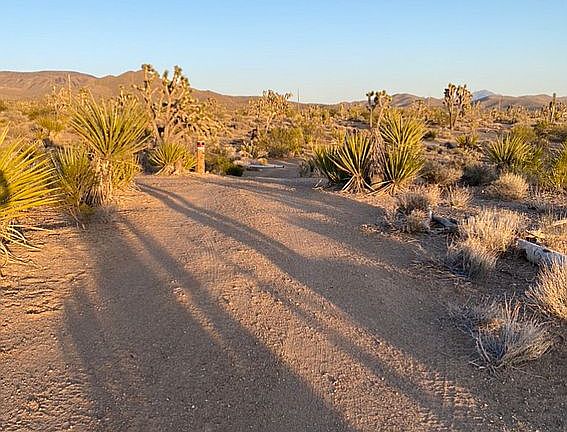 3rd image of 0 Rollando Dr