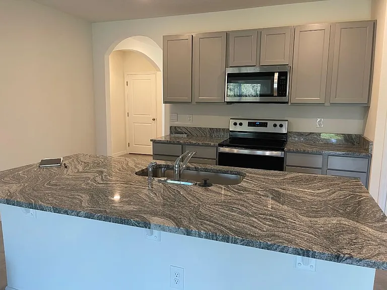 33508 Apricot Tree Ct — Photo 4