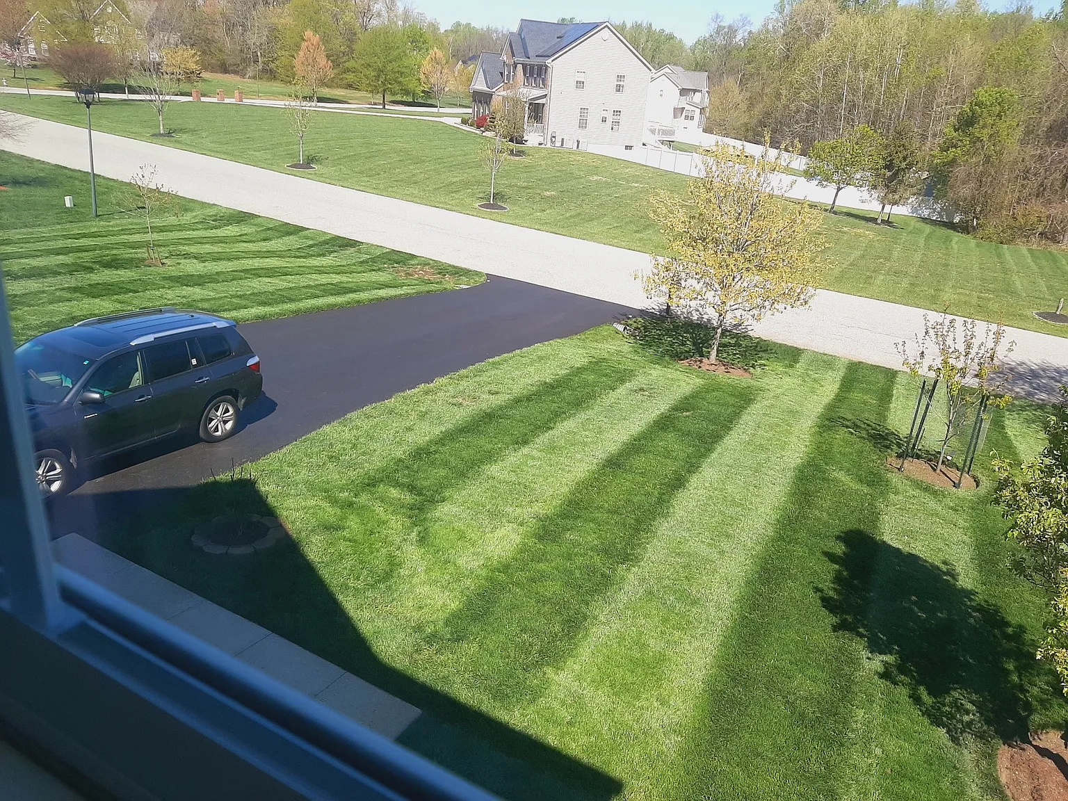 5 bed, 3.5 bath, 3328 sqft, $3,900 — Photo 3