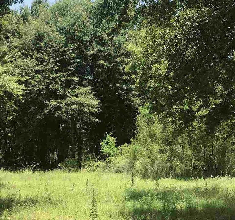 1st image of 19531 State Highway 31 E