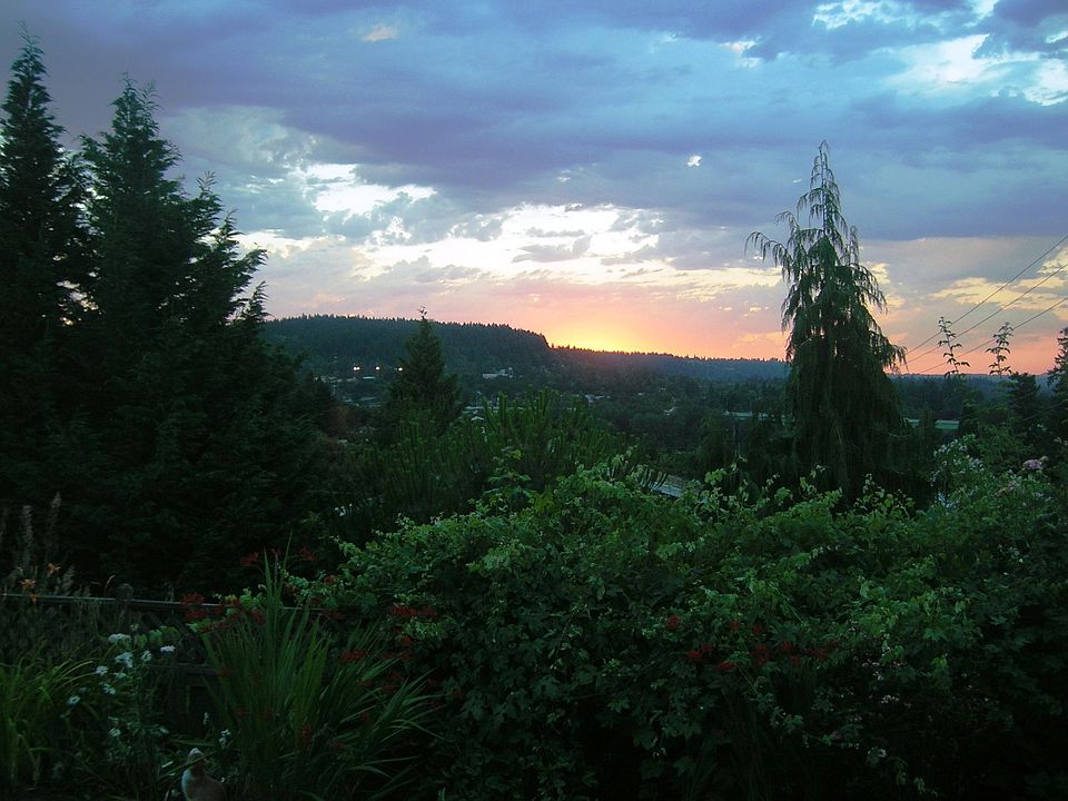 Sunset from bay window