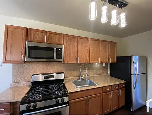 1 bed, 450 sqft, $1,250 — Photo 1