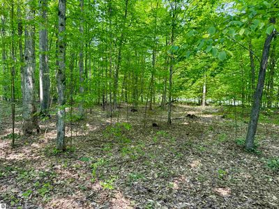 0 S Honeybee Rd #C, Empire, MI, 49630