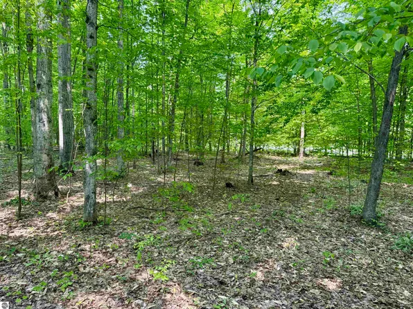 0 S Honeybee Rd #C, Empire, MI 49630