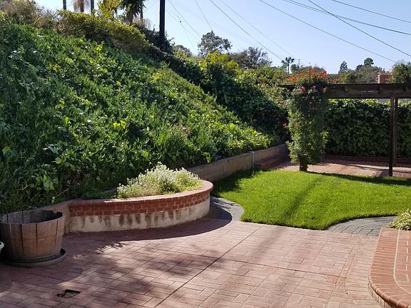 Backyard Brick Patio and Lawn