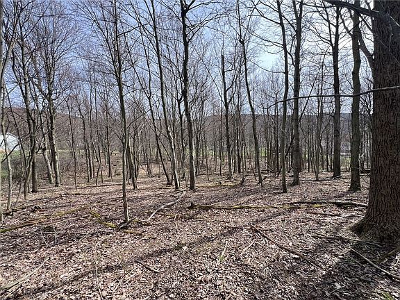 3rd image of 222 Hopwood Coolspring Rd N