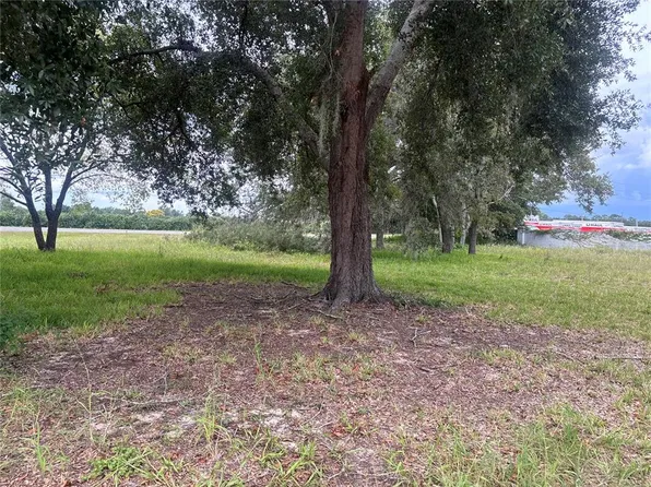 STATE ROAD 19 LOT 7, TAVARES, FL 32778