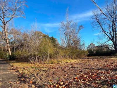 120 Baker Ave #0, Bessemer, AL, 35023